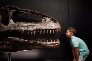 Dinosaurs of Patagonia